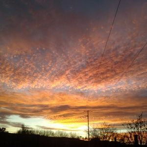 Meet your Posher, Bianca